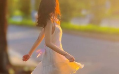 赖滢羽种子下载